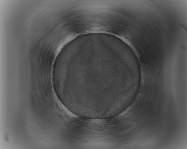 X0000100861333200807111243