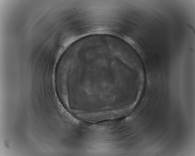 X0000100861334200807111243