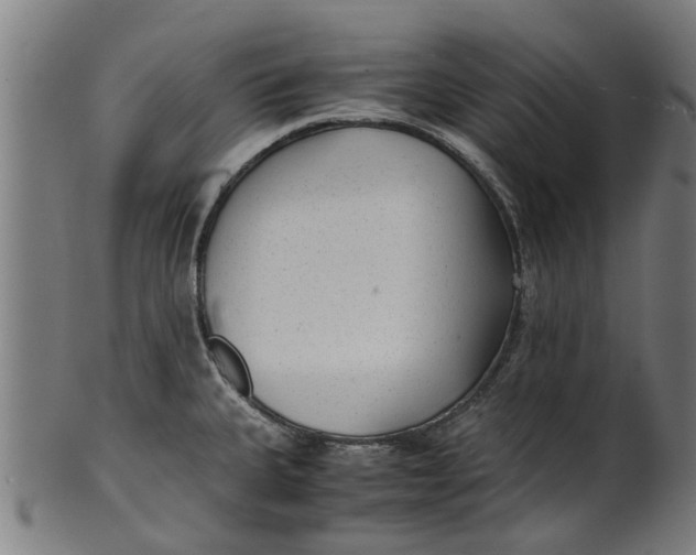 X0000100861335200807111243