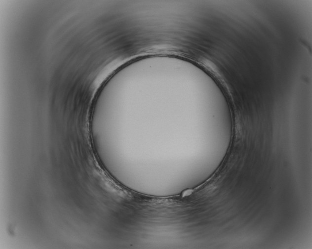 X0000100861336200807111243