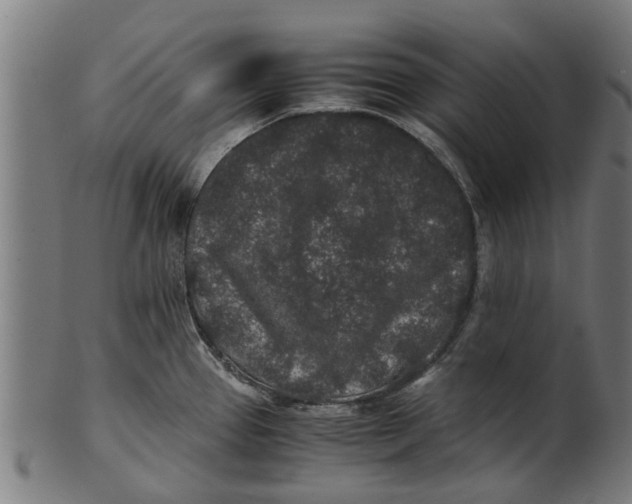 X0000100861337200807111244