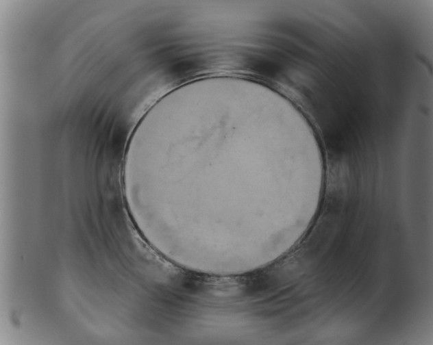 X0000100861338200807111244