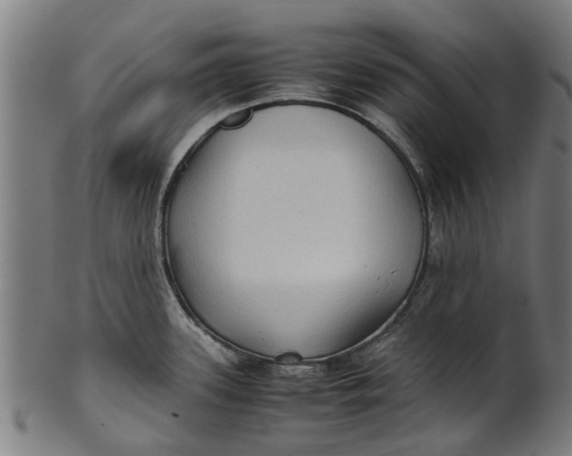 X0000100861339200807111244