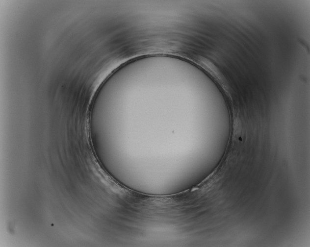 X0000100861340200807111244