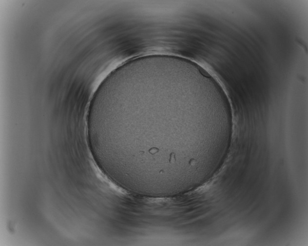 X0000100861341200807111244