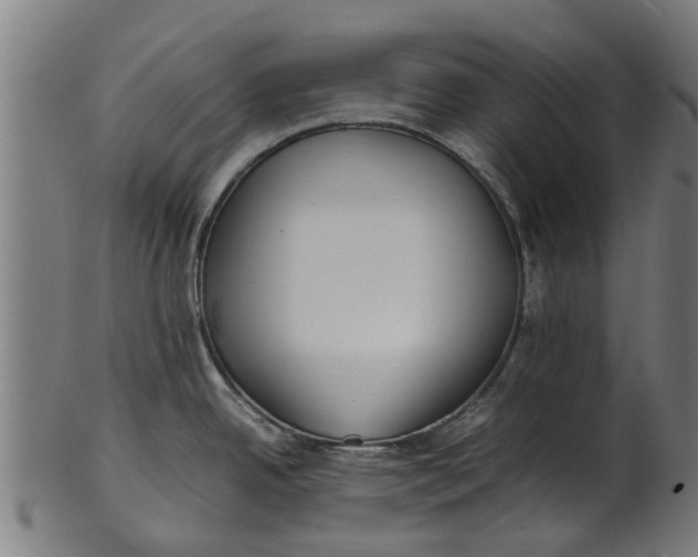 X0000100861342200807111244