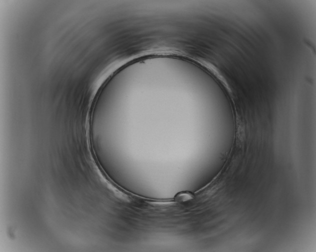 X0000100861343200807111244