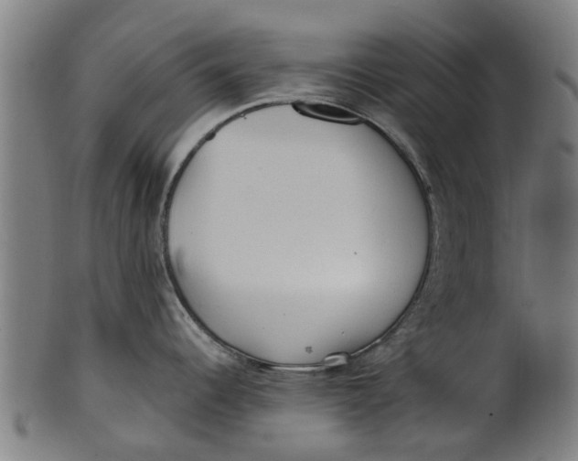 X0000100861344200807111244