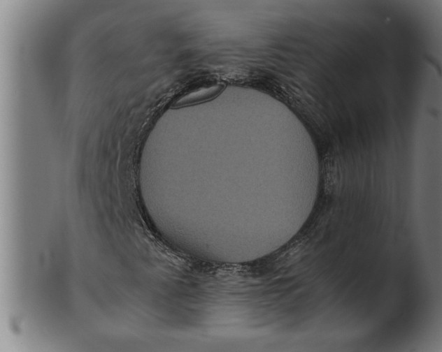 X0000100861345200807111243