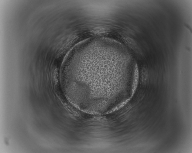 X0000100861346200807111243