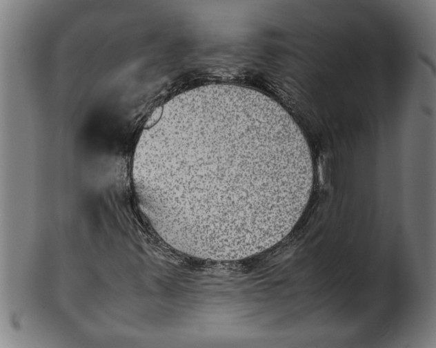 X0000100861347200807111243