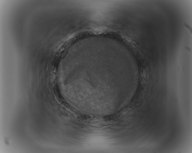 X0000100861349200807111243