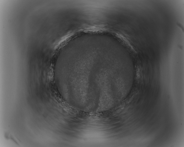 X0000100861350200807111243