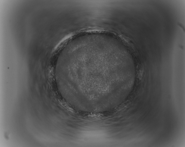 X0000100861351200807111243