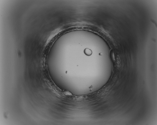 X0000100861352200807111243