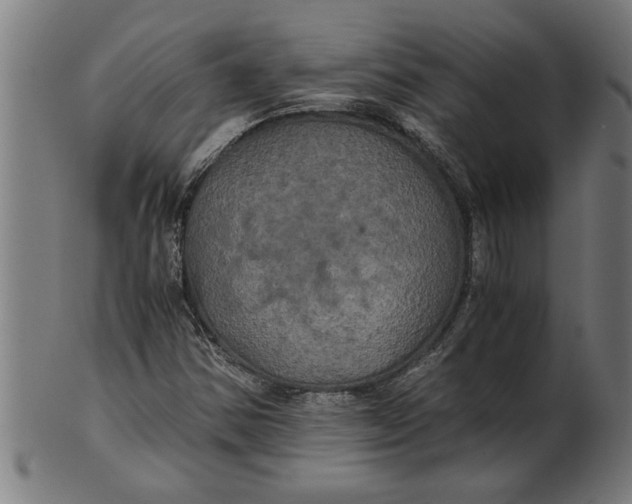 X0000100861354200807111243