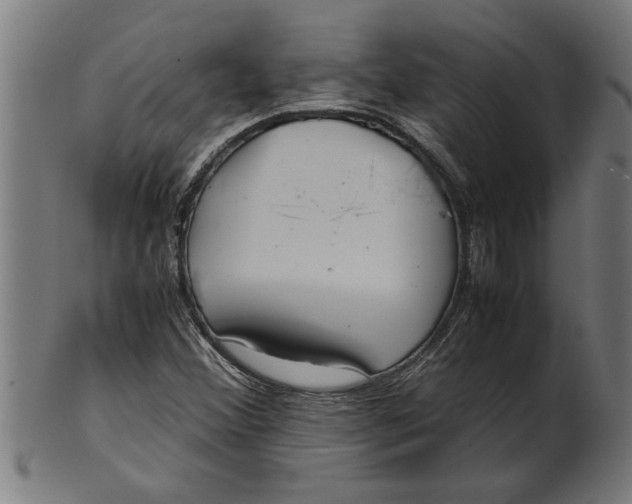 X0000100861356200807111243