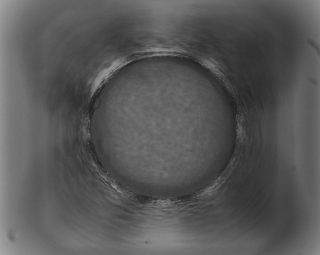 X0000100861357200807111243