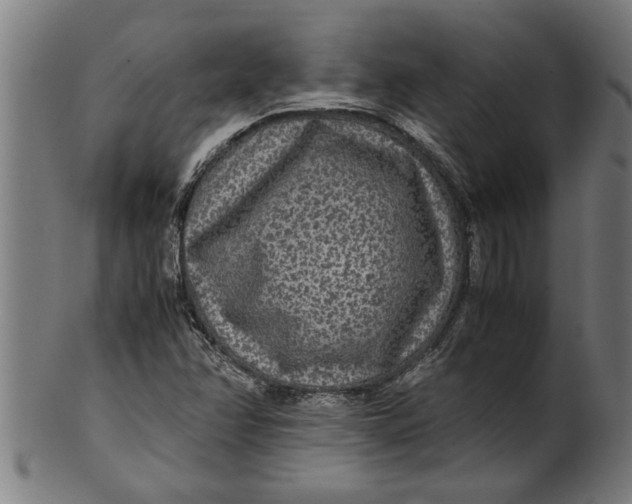 X0000100861358200807111243