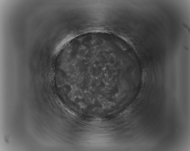 X0000100861359200807111243