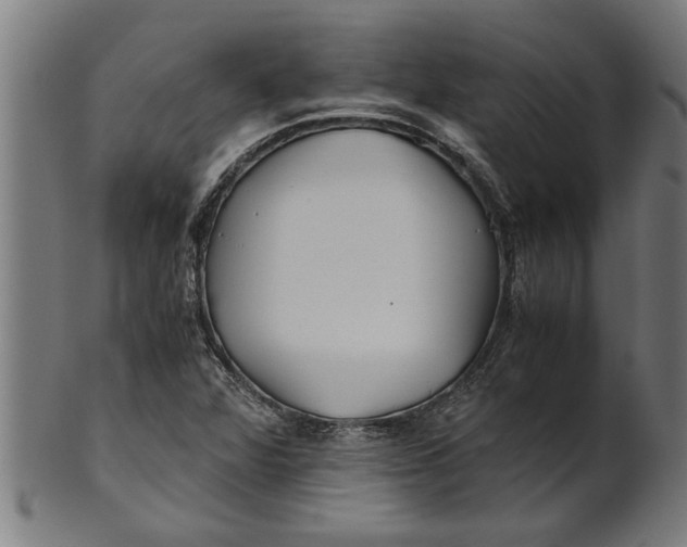 X0000100861360200807111243