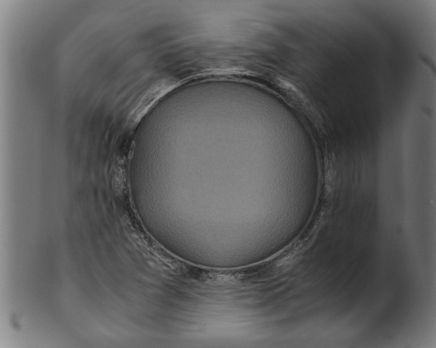 X0000100861361200807111243