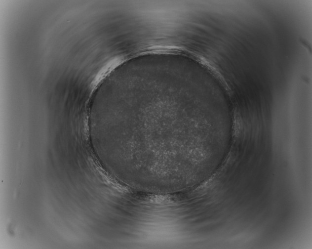 X0000100861362200807111243