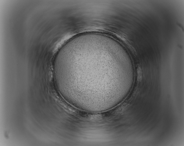 X0000100861363200807111243