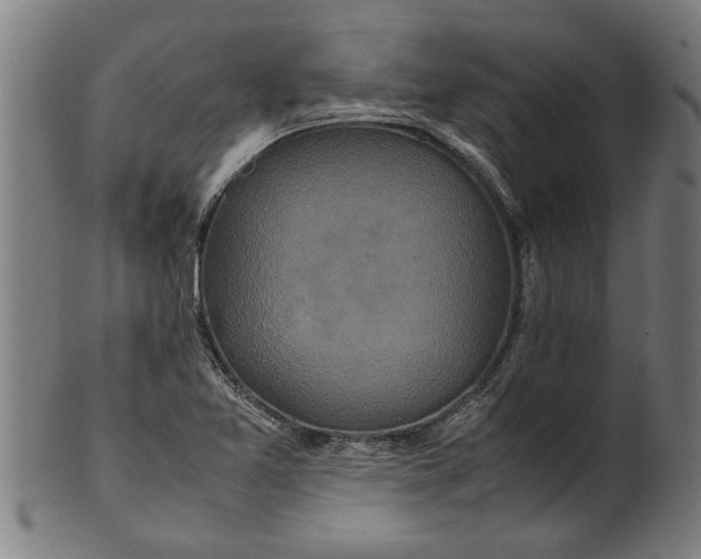 X0000100861365200807111243