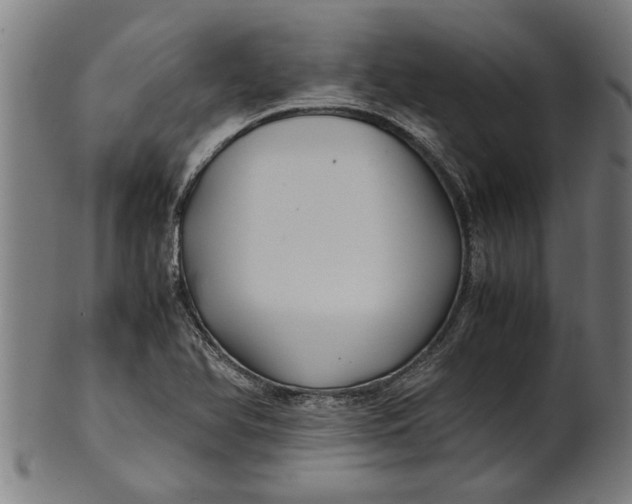 X0000100861366200807111243