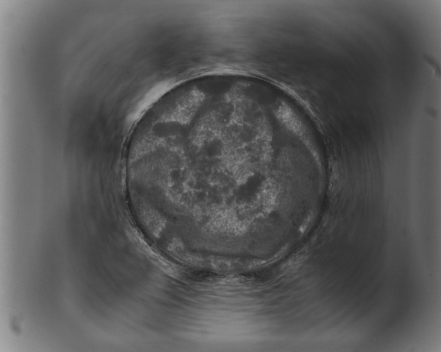 X0000100861367200807111243