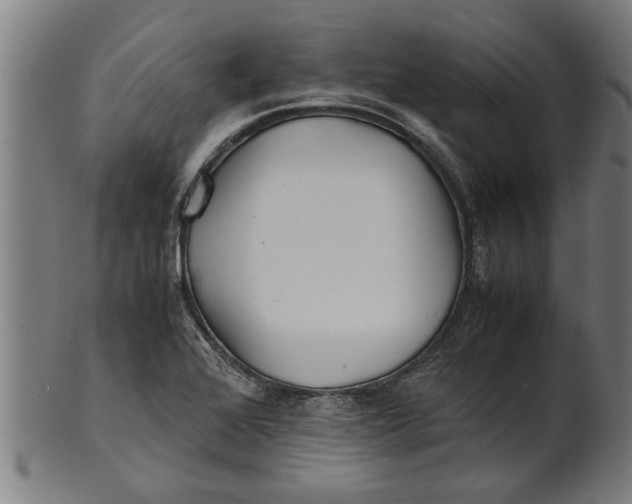 X0000100861368200807111243