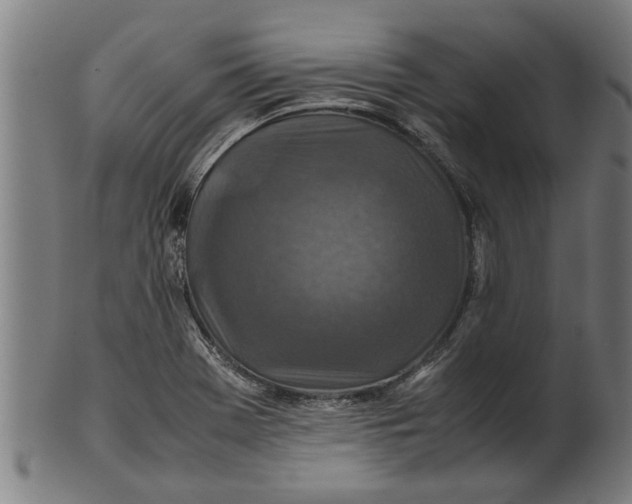 X0000100861369200807111243