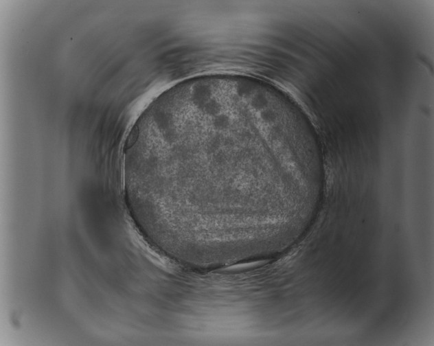 X0000100861371200807111243