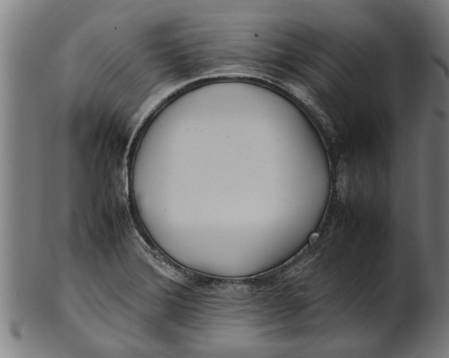 X0000100861372200807111243