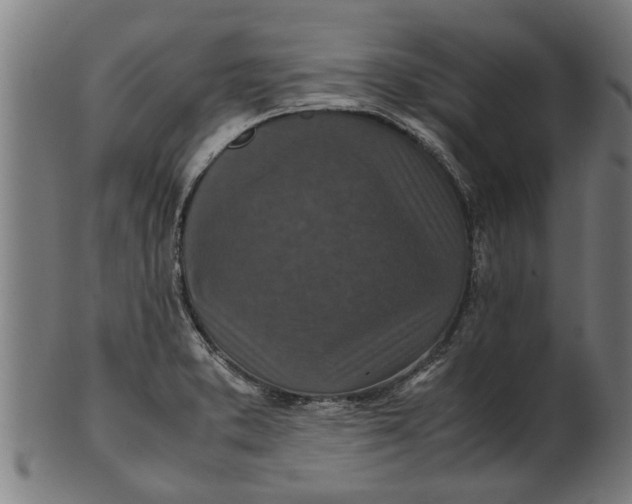 X0000100861373200807111243