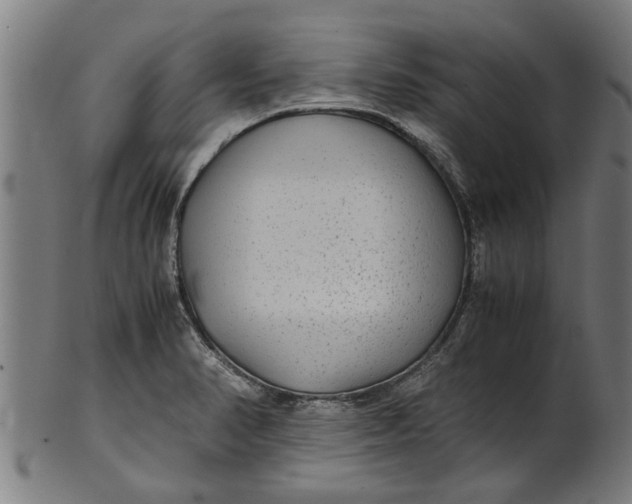 X0000100861374200807111243