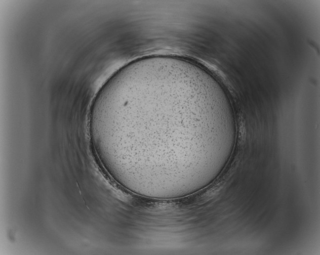 X0000100861375200807111243