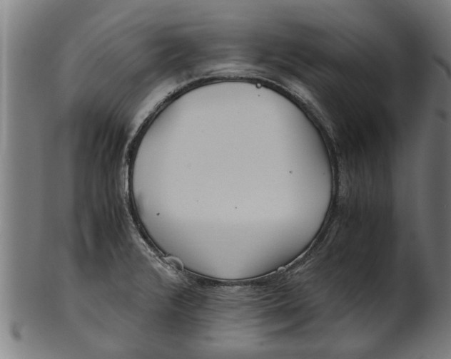 X0000100861376200807111242