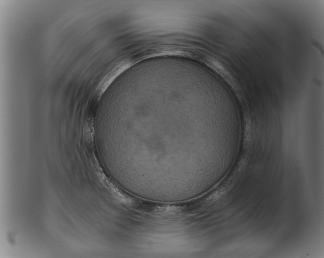 X0000100861377200807111242