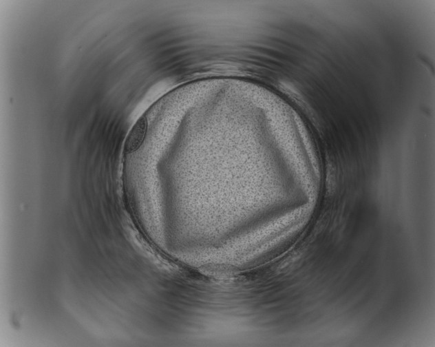 X0000100861378200807111242