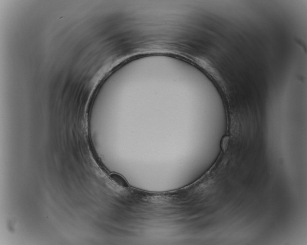 X0000100861380200807111242