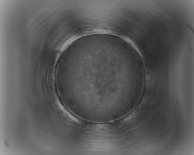 X0000100861381200807111242