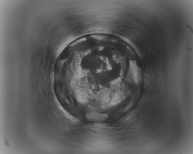 X0000100861383200807111242