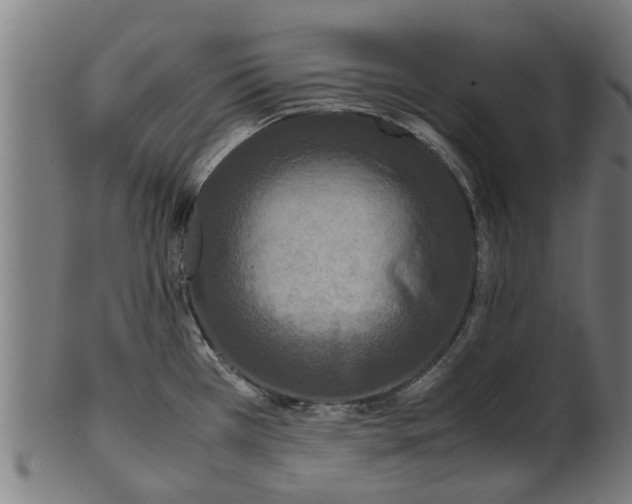 X0000100861385200807111242