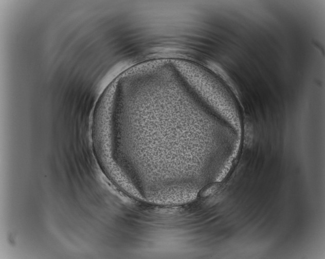 X0000100861386200807111242