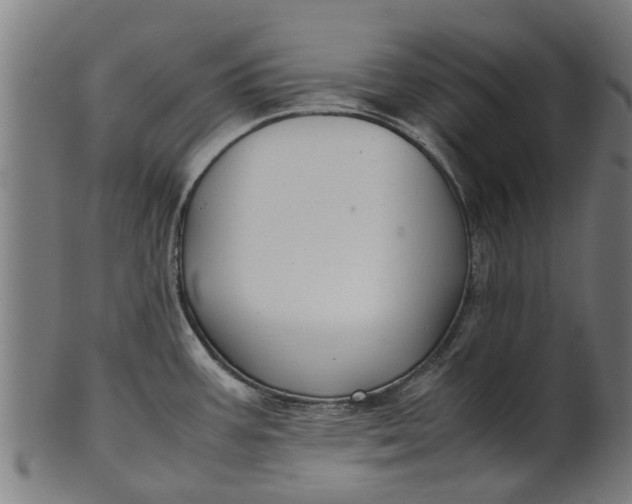 X0000100861387200807111242