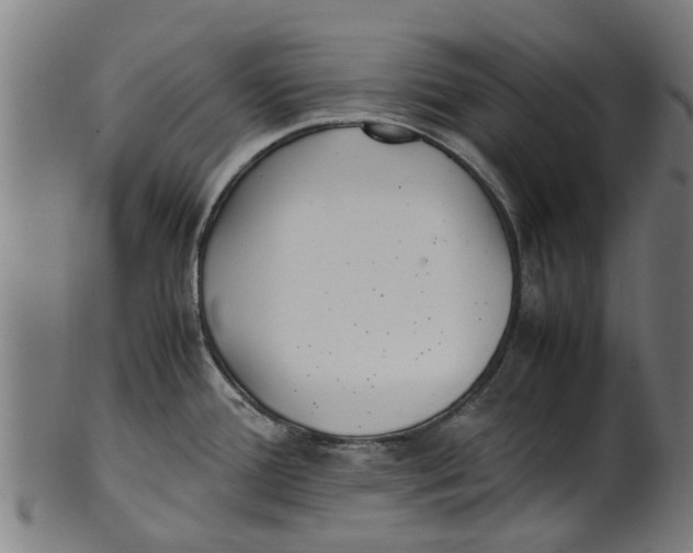 X0000100861388200807111242