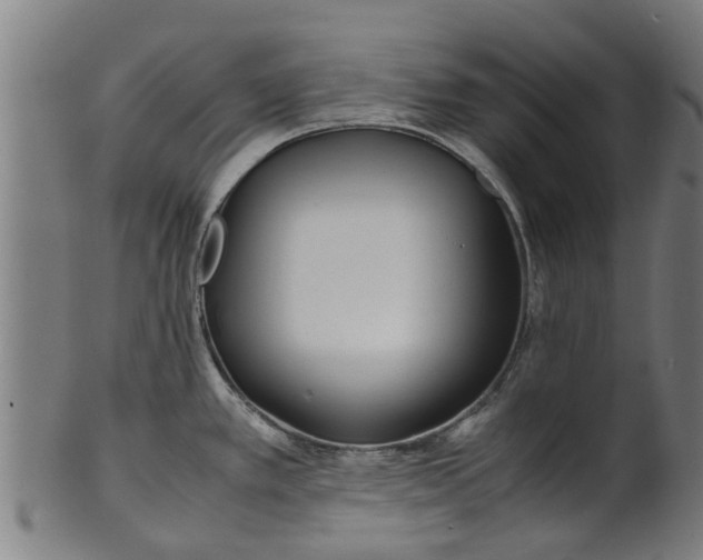 X0000100861389200807111242