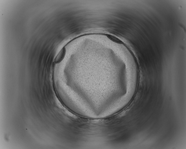 X0000100861390200807111242